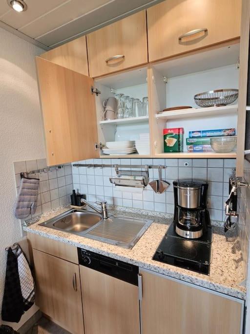 A&E Apartment Am Sorpesee Langscheid  Ngoại thất bức ảnh